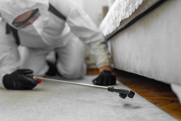 Professional Emergency Pest Control technician working in Michigan City, IN
