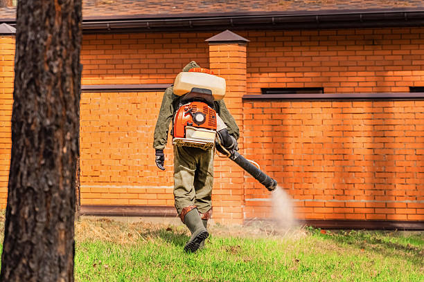 Trusted Cockroach Control service in Michigan City, IN - Nex Pest Control